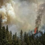 Fire Rages Near Taos County Line