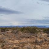 District Landscape